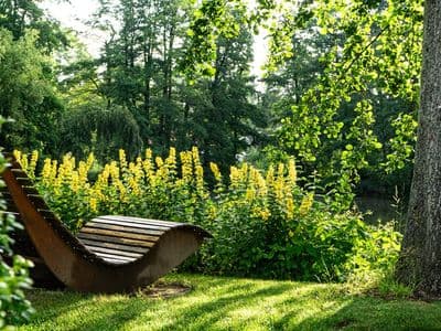 A serene garden scene featuring a wooden lounger surrounded by lush greenery and yellow flowers.